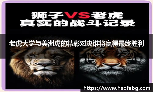 B体育官网