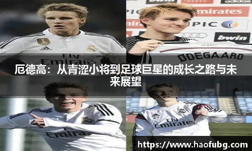 bsports官网入口