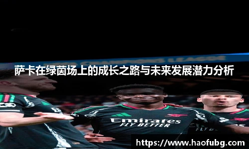 bsports官网